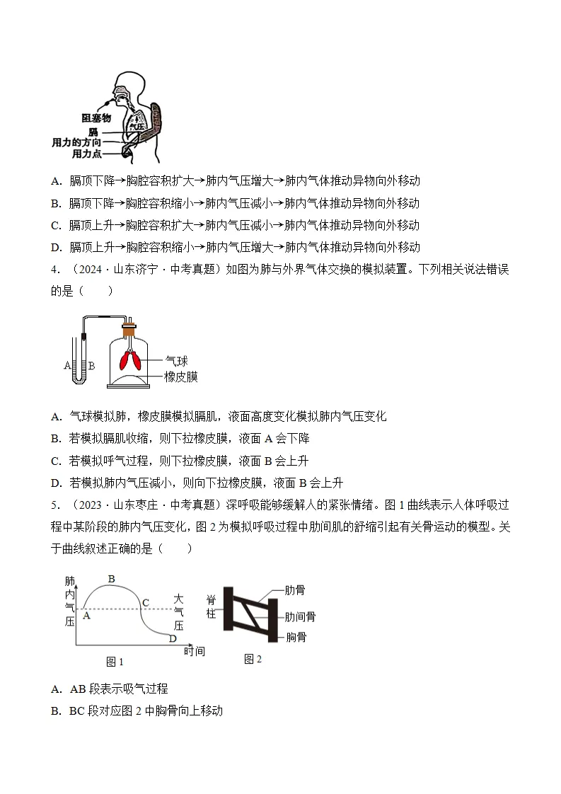 4.3.2 发生在肺内的气体交换（分层作业）（原卷版）_09.webp