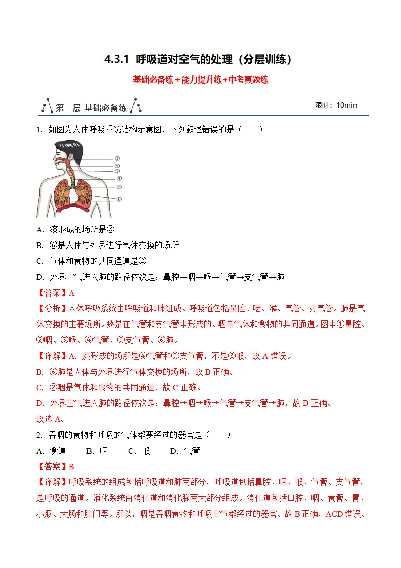 4.3.1 呼吸道对空气的处理（分层作业）（解析版）_01.webp