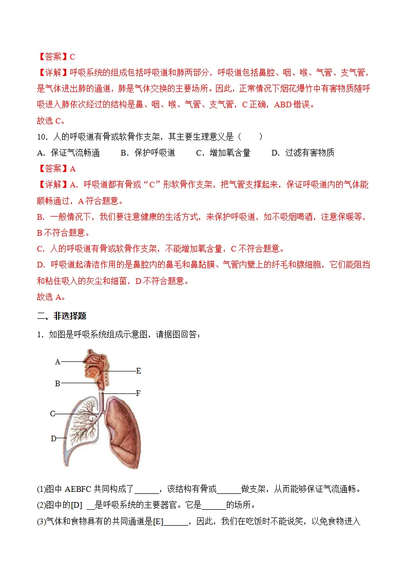 4.3.1 呼吸道对空气的处理（分层作业）（解析版）_05.webp