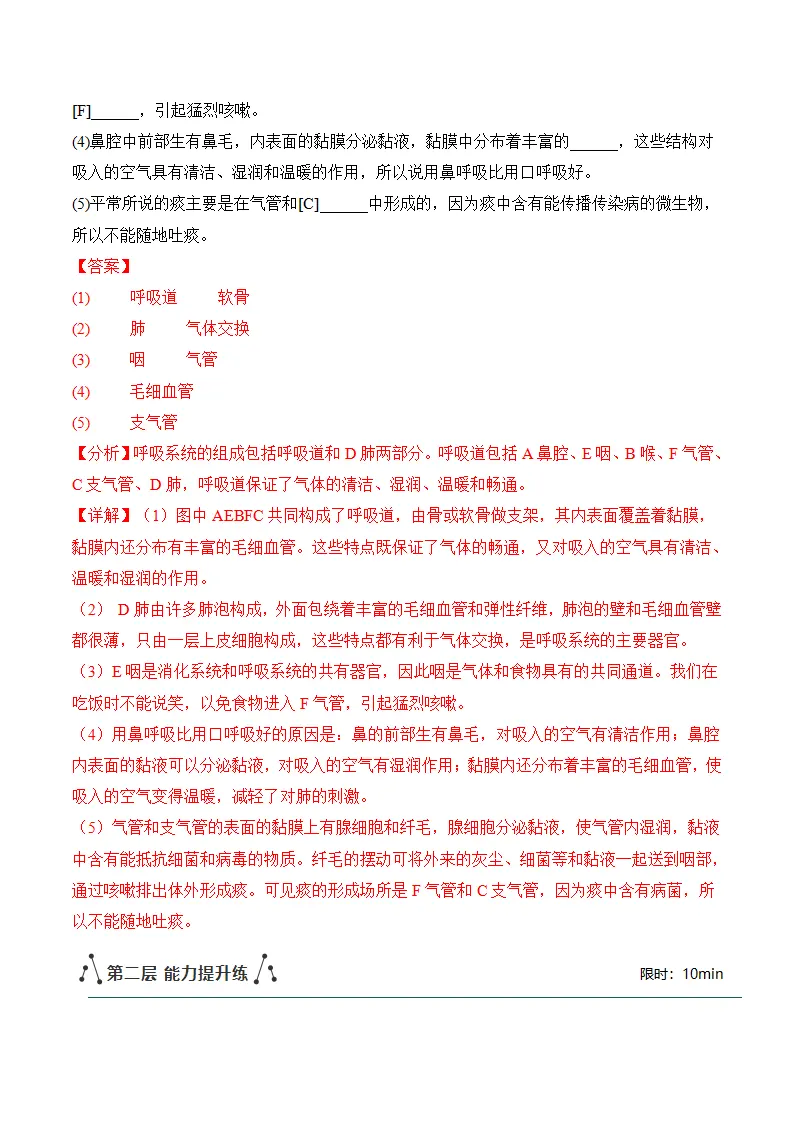 4.3.1 呼吸道对空气的处理（分层作业）（解析版）_06.webp