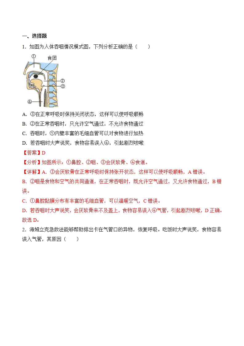 4.3.1 呼吸道对空气的处理（分层作业）（解析版）_07.webp