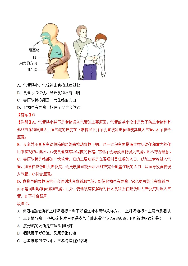 4.3.1 呼吸道对空气的处理（分层作业）（解析版）_08.webp