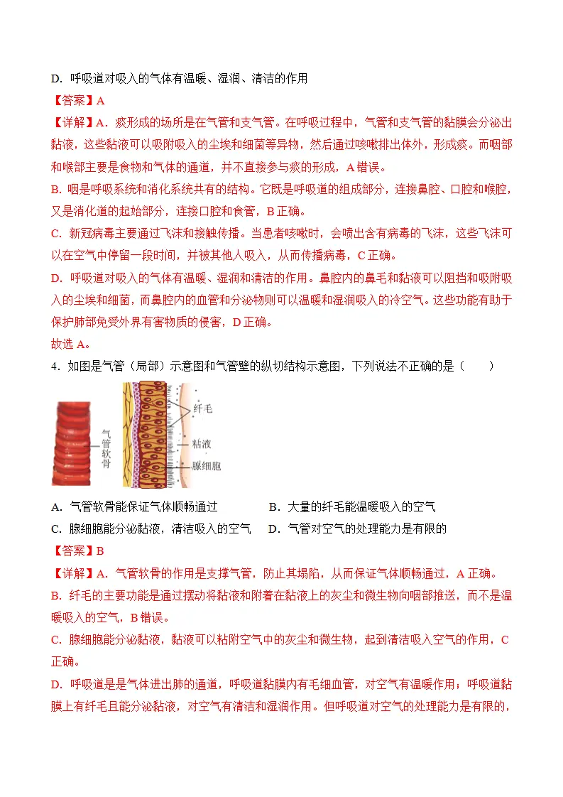 4.3.1 呼吸道对空气的处理（分层作业）（解析版）_09.webp