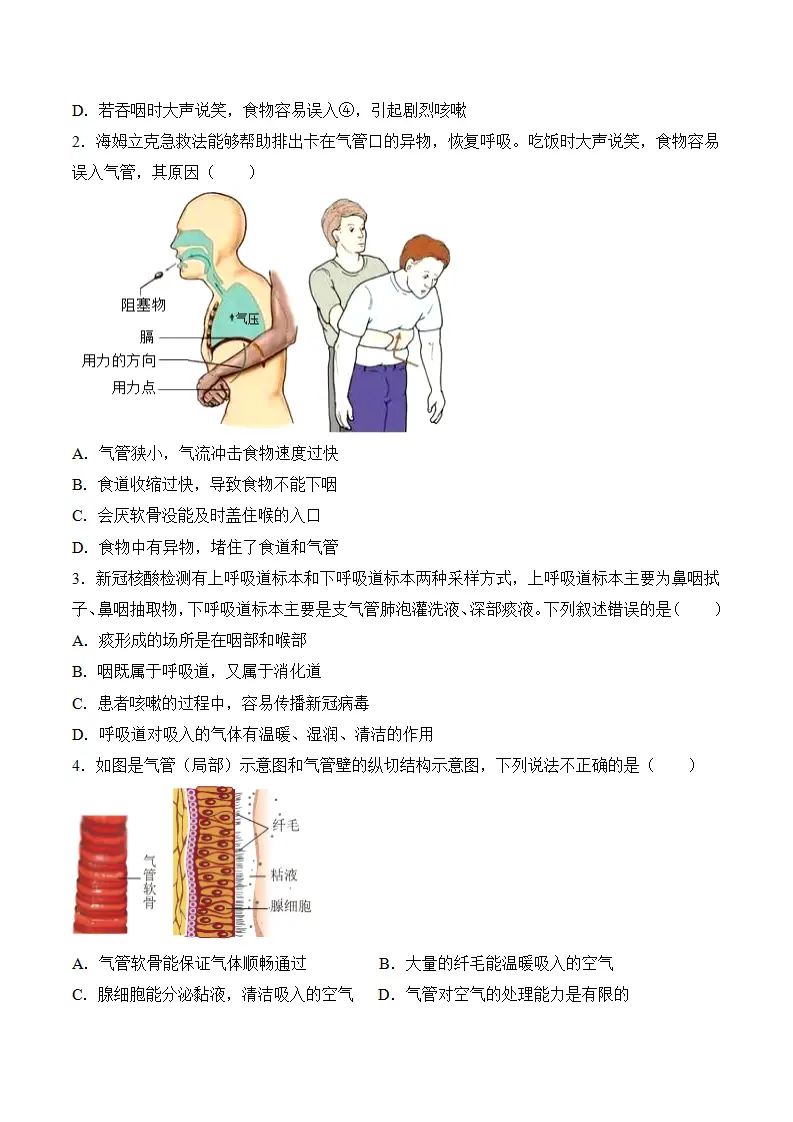 4.3.1 呼吸道对空气的处理（分层作业）（原卷版）_04.webp