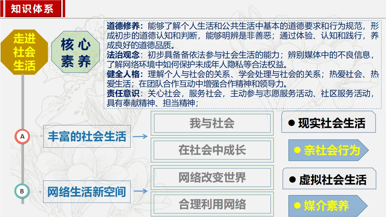 1.1我与社会（精讲课件）-（部编版）_03.webp