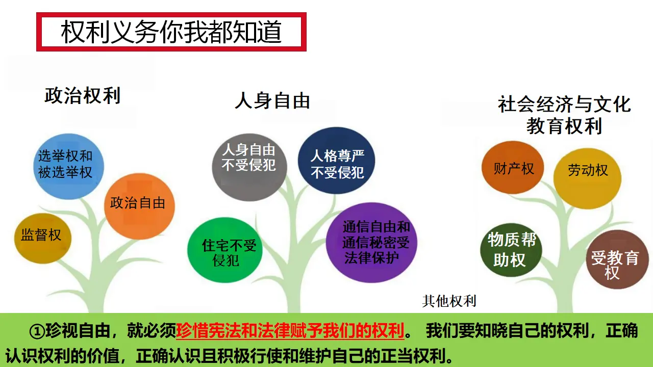 7.2 自由平等的追求（教学课件）_05.webp