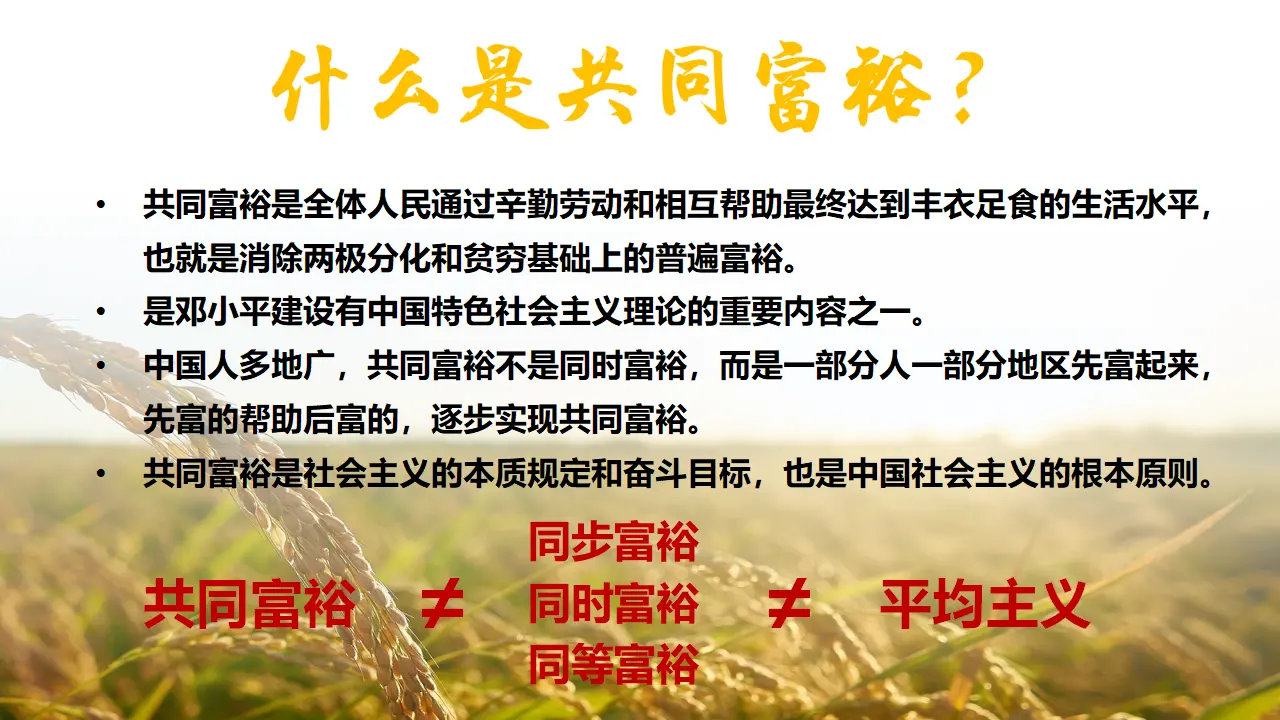 1.2 走向共同富裕 （教学课件）-统编版）_02.webp