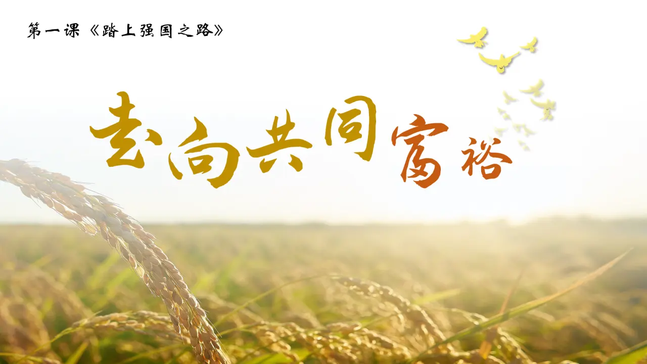 1.2 走向共同富裕 （教学课件）-统编版）_03.webp