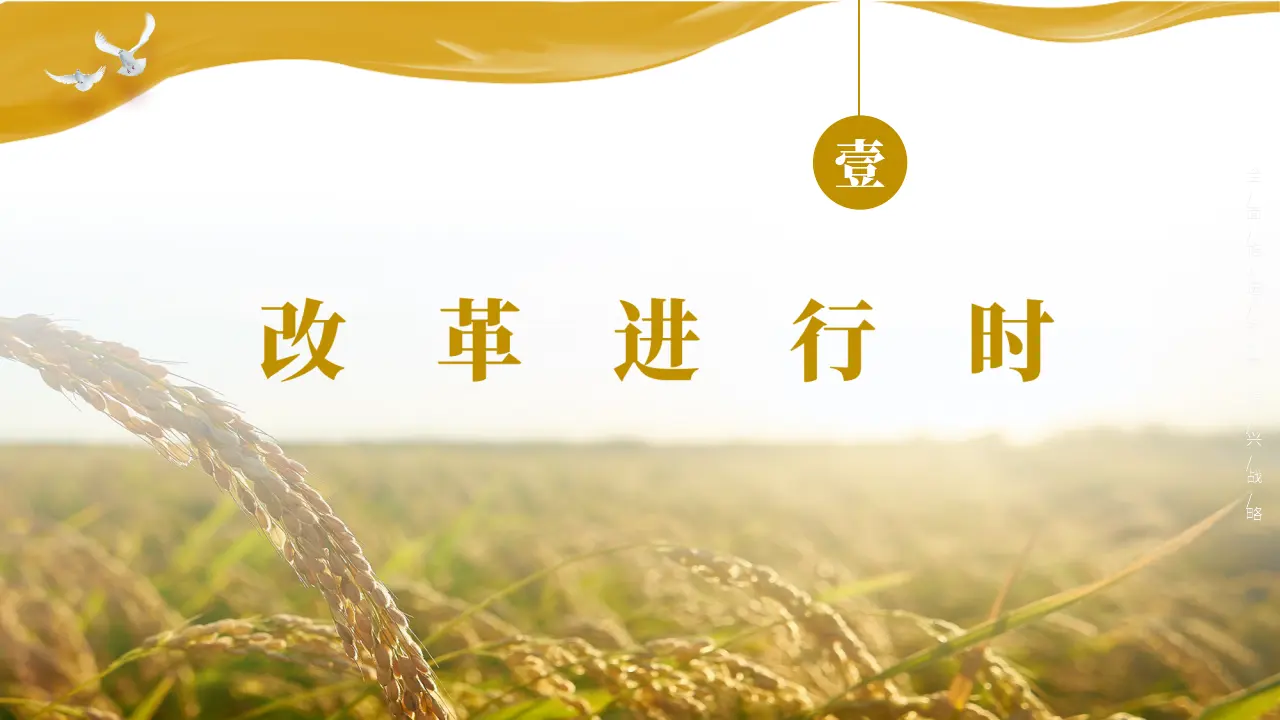 1.2 走向共同富裕 （教学课件）-统编版）_05.webp