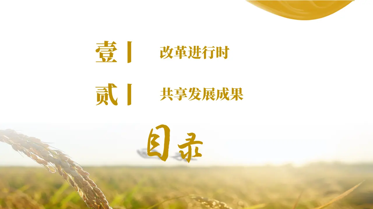 1.2 走向共同富裕 （教学课件）-统编版）_04.webp